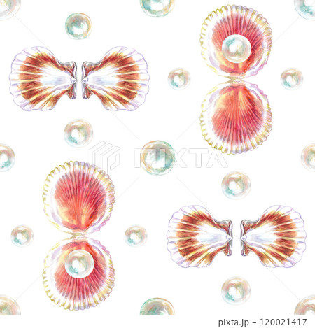 Pattern of scallop, bivalve marine mollusk, grooved shell with pearls in watercolor. Red Scallop, Calico Scallop, Argopecten Gibbus. This shell's side is concave in shape. Circular shaped with Pattern of scallop, bivalve marine mollusk, grooved shell with pearls in watercolor. Red Scallop, Calico Scallop, Argopecten Gibbus. This shell's side is concave in shape. Circular shaped with 120021417