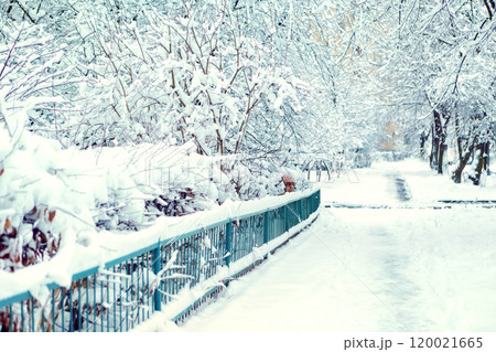 winter street in the snow. place for text winter street in the snow. place for text 120021665