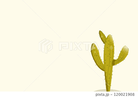 Tall succulent cactuses with thorns on color background. Vector drawing set illustration for icon, game, packaging, banner. Wild west, western, cowboy concept. Copy spase 120021908