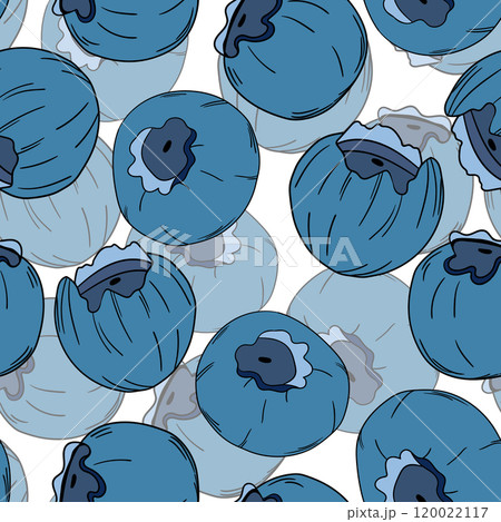 Seamless pattern with blueberry. Natural fresh ripe tasty blueberries. Vector illustration for background, packaging, textile, fabric and various other designs 120022117