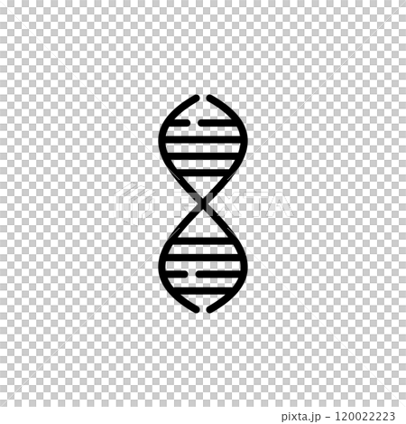 遺伝子　DNA 120022223