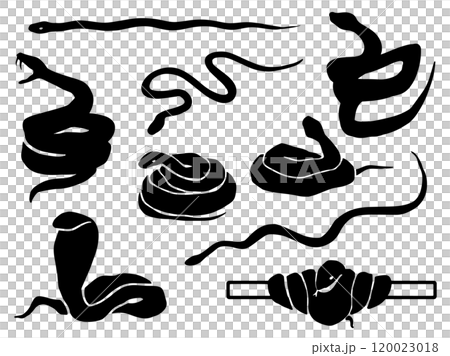 Snake silhouette illustration set 120023018