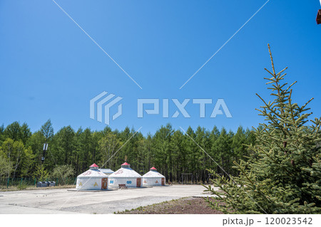 牛 雄牛 雄牛座 120023542