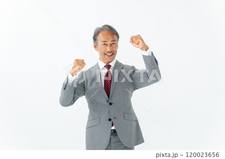 ビジネス　シニア男性　ガッツポーズ  120023656