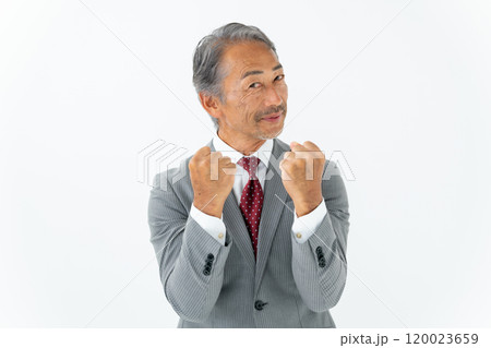 ビジネス シニア男性 ガッツポーズ ビジネス シニア男性 ガッツポーズ 120023659