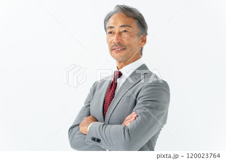 ビジネス シニア男性 ポートレート ビジネス シニア男性 ポートレート 120023764