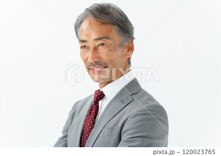 ビジネス シニア男性 ポートレート ビジネス シニア男性 ポートレート 120023765