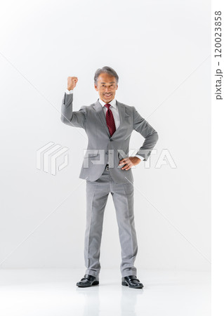ビジネスマン ポートレート 全身 ガッツポーズ ビジネスマン ポートレート 全身 ガッツポーズ 120023858