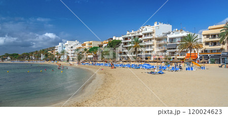 Beech of Puerto de Pollensa, Spain 120024623