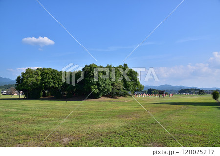 奈良・藤原宮大極殿院跡 120025217