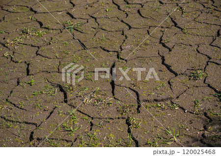 秋のひび割れた地面 120025468
