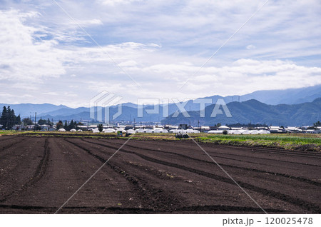 農地とたくさんのビニールハウスが並ぶ風景 農地とたくさんのビニールハウスが並ぶ風景 120025478