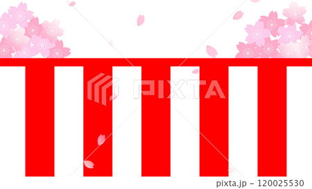 紅白幕と桜の背景イラスト 120025530