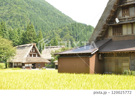 白川郷の合掌造りと合掌集落 120025772