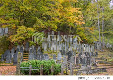 木曽御嶽山霊神碑群【木曽郡木曽町】 木曽御嶽山霊神碑群【木曽郡木曽町】 120025946