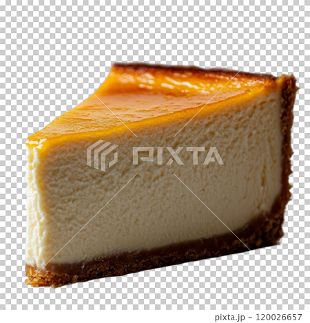 美味的芝士蛋糕 120026657