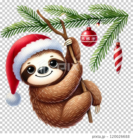 Cute sloth wearing a Santa hat, hanging from a Christmas tree branch. 120026688