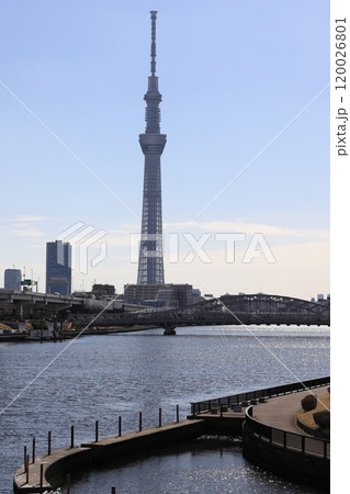 隅田川風景・白髭橋と東京スカイツリー・汐入公園【東京都荒川区】 120026801