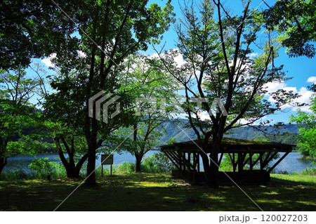 夏の琵琶湖　湖岸緑地奥出浜園地の東屋 120027203