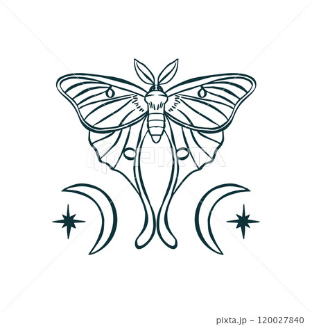 Luna moth hand drawn illustration isolated on white 120027840