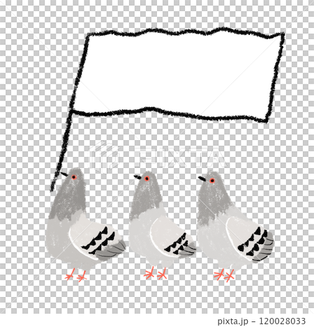 帶有白旗的鴿子 120028033