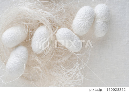 silk production cocoons background with copy space silk production cocoons background with copy space 120028232