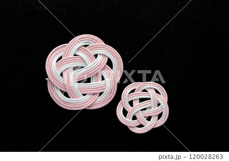 水引 水引 120028263