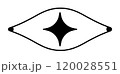 Eye line icon logo symbol 120028551