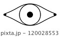 Eye line icon logo symbol 120028553