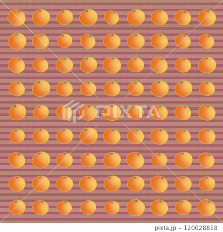 みかんの壁紙イラスト 120028818
