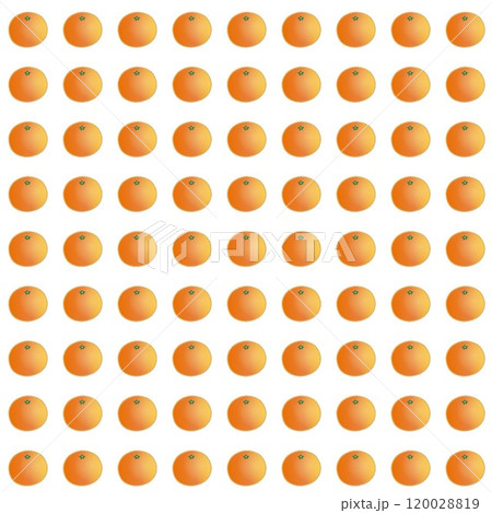 みかんの壁紙イラスト 120028819