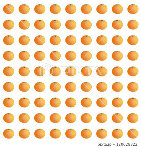 みかんの壁紙イラスト みかんの壁紙イラスト 120028822