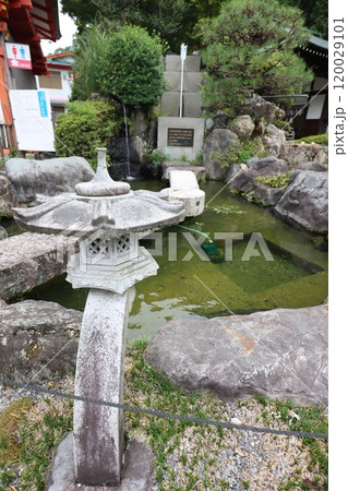 近江神宮 120029101