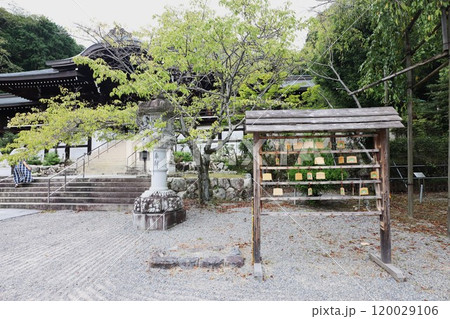 近江神宮 120029106