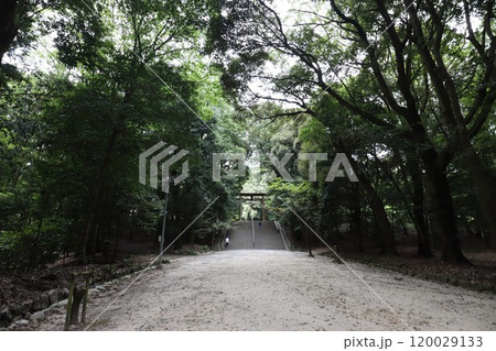 近江神宮 120029133