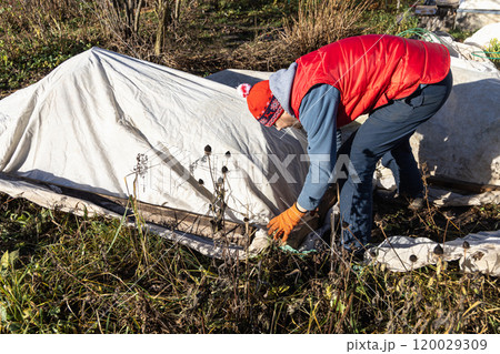 Winter Protection for Garden, winter shelter for garden plants, shelter rhododendrons 120029309