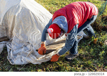 Winter Protection for Garden, winter shelter for garden plants, shelter rhododendrons 120029314
