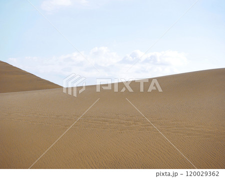 Sand textured pattern with copy space close up in Maspalomas, Gran Canaria. Abstract background wallpaper. Sand waves in a desert dune against the sky 120029362