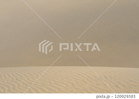 Sand textured pattern with copy space. Abstract background wallpaper. Sand waves in a desert dune Sand textured pattern with copy space. Abstract background wallpaper. Sand waves in a desert dune 120029383