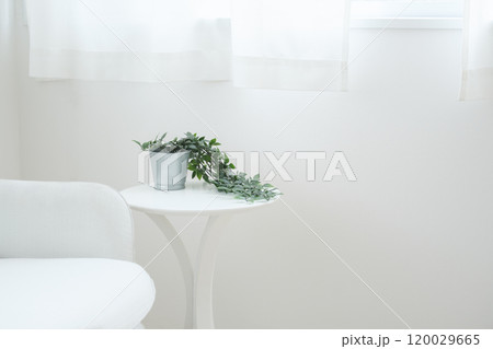 ソファーとテーブルの白を基調としたインテリア ソファーとテーブルの白を基調としたインテリア 120029665