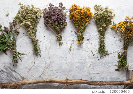 different wild medicinal dry herbs: white yarrow herb blossoming, yellow tansy herb, lilac marjoram\oregano, St. John's wort at white background 120030466