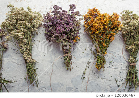 different wild medicinal dry herbs: white yarrow herb blossoming, yellow tansy herb, lilac marjoram\oregano, St. John's wort at white background 120030467