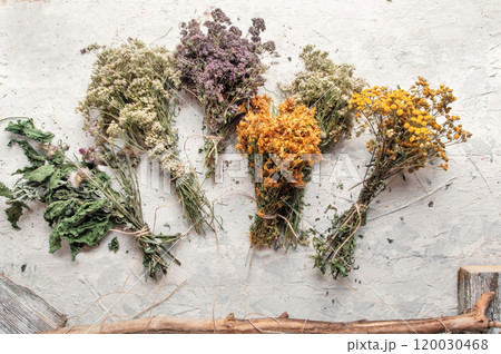 different wild medicinal dry herbs: white yarrow herb blossoming, yellow tansy herb, lilac marjoram\oregano, St. John's wort at white background 120030468