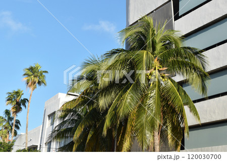 Miami, Florida, USA, facade of the buildings, Miami Beach streets, modern urban architecture 120030700