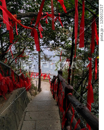 National Zhangjiajie Park in China is a breathtaking natural wonderland known for its towering sandstone pillars, lush forests, and deep ravines. It served as inspiration for the floating mountains  120031257