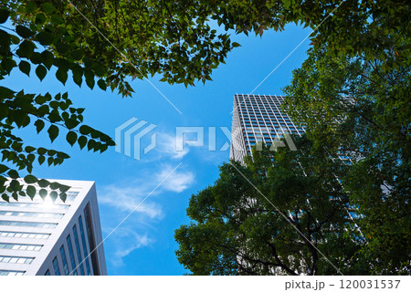 大阪梅田の風景 120031537