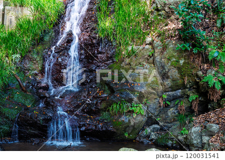 島本の水無瀬の滝 120031541