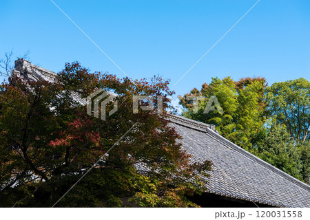 水無瀬神宮の風景 水無瀬神宮の風景 120031558