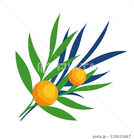 Ripe fruits on branch in flat design. Kwanzaa holiday harvest symbol. Vector illustration isolated. 120031667