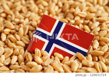 Iceland flag on grain wheat, trade export and economy concept. Iceland flag on grain wheat, trade export and economy concept. 120031724